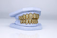 Load image into Gallery viewer, Diamond VVS VS SI Grillz Gold Silver Rose Arian and Co arianandco
