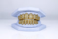 Load image into Gallery viewer, Diamond VVS VS SI Grillz Gold Silver Rose Arian and Co arianandco
